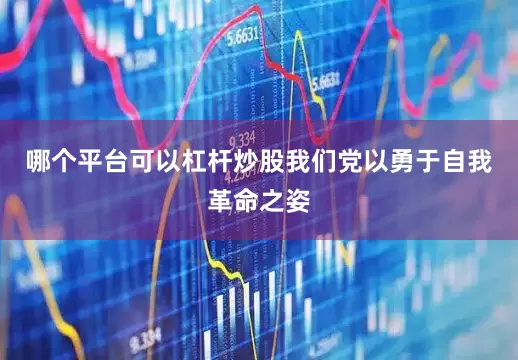 哪个平台可以杠杆炒股我们党以勇于自我革命之姿
