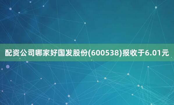 配资公司哪家好国发股份(600538)报收于6.01元
